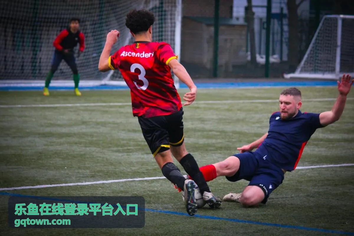 乐鱼在线登录平台入口安全验证功能更新封面